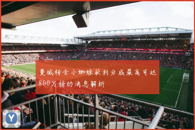 曼城转会小蜘蛛获利分成最高可达800万镑的消息解析