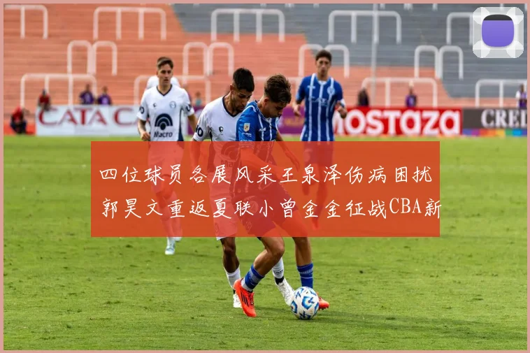 四位球员各展风采王泉泽伤病困扰郭昊文重返夏联小曾金金征战CBA新赛季